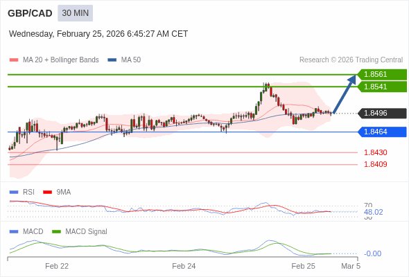 BtcDana Global tweet media