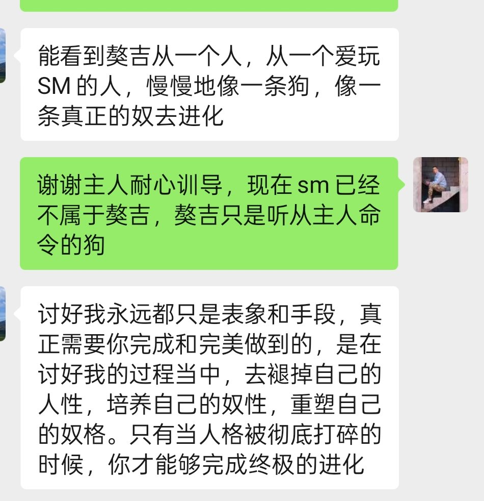 dimon是条犬 tweet media