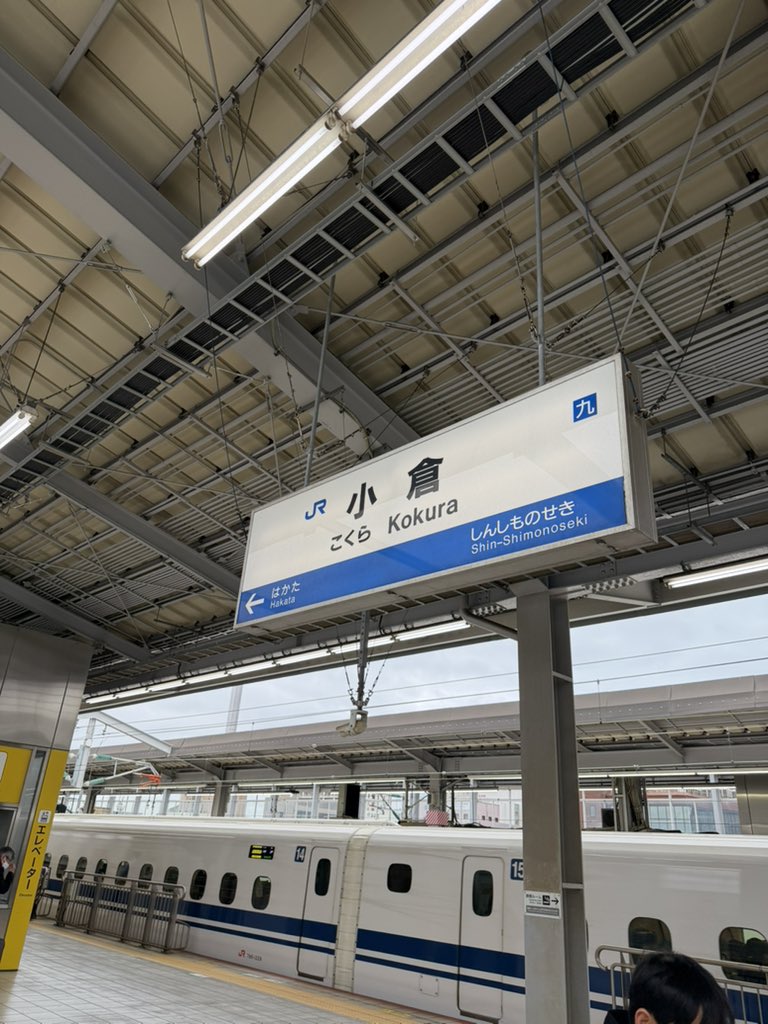 でこ@あんず鯖 tweet media