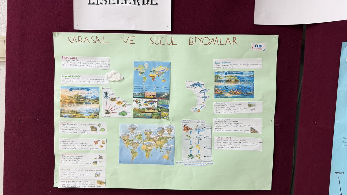 KilicarslanFenL's tweet photo. Okulumuzda Liselerde Bilim Uygulamaları kapsamında pano çalışması düzenlendi. @NureddinELK2 @SilvanMEM @Diyarbakirlibu https://t.co/rbL3AZZ4bN