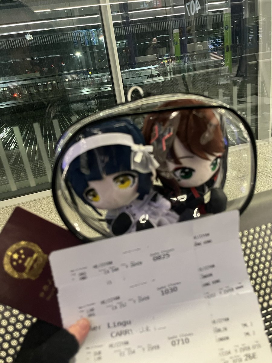 飛びます✈️
会いに行きます（╹◡╹）

#VWP現象4
#花譜5thワンマン