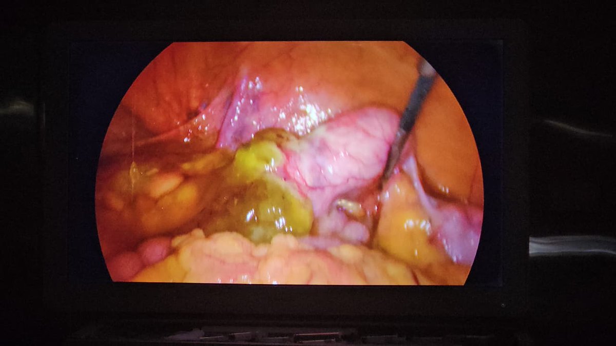 Directorate of Health Services tweet media