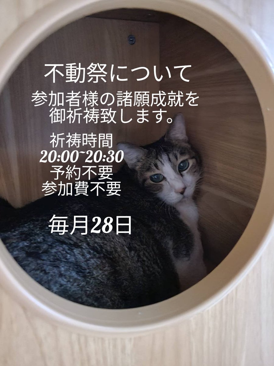 monksbar's tweet photo. 自分の期待に応えられるのは自分だけ。
#岡山市北区中山下2丁目1-55-3f
#坊主bar
#monk‘s bar
#破天荒坊主
#少人数貸切り可能
#怪談
#怖い話
#カクテル
#仏教カクテル
#カラオケ
#ねこすきさんと繋がりたい
#薩摩好き
#玉置浩二
#サーチライト
#HOUNDDOG
#大友康平
#MISIA
#Uru
#オープンマイク https://t.co/QKwa8gbkmF