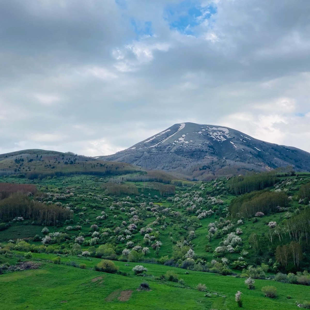 " Daneri bir sürü başka dörtlük okudu, hepsini gene kendisi övdü ve hepsi de gene uzun açıklamalara yol açtı."

Jorge Luis Borges / Alef