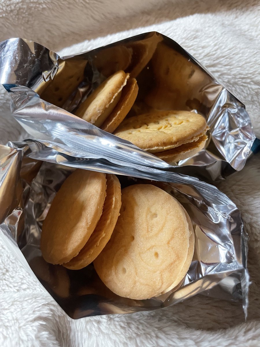 참 달구나 너처럼…