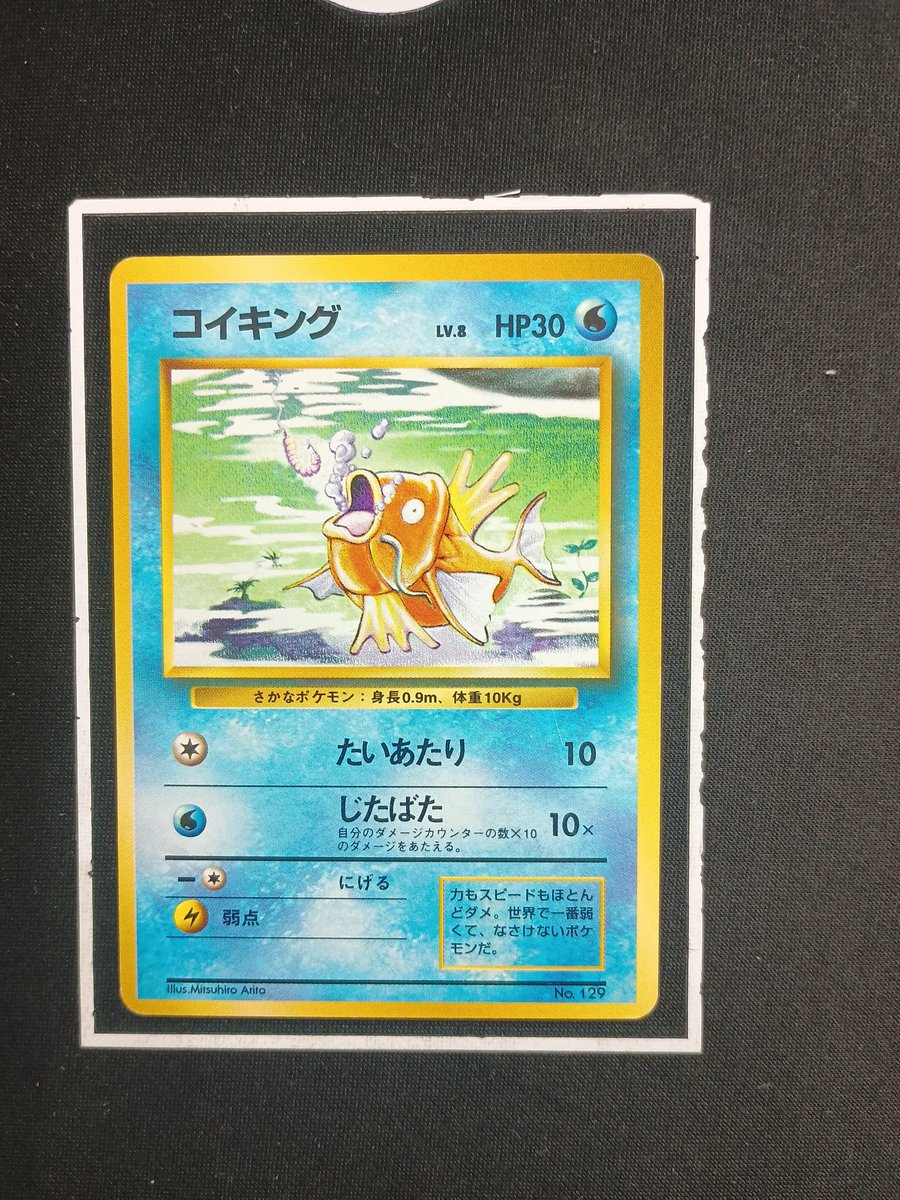 旧裏入荷しました📸 初版コイキング👀 中々お目にかかれない商品となっ