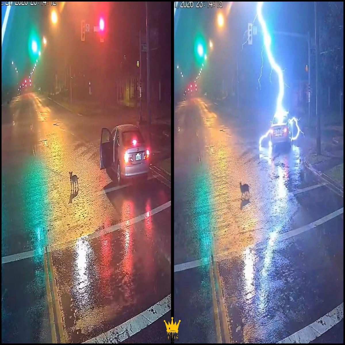 He dumped his dog in the streets, ten seconds later karma hit!

Late one night, security footage caught a man stopping his car in the middle of a quiet street.
He opened the door, pushed his dog out, and sped off. The dog stood there. Confused. Watching his owner disappear.