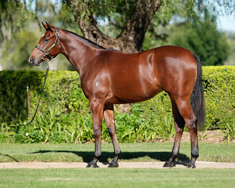 Tara Madgwick tweet media