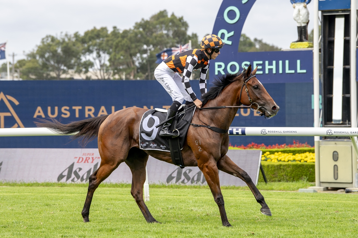 Tara Madgwick tweet media