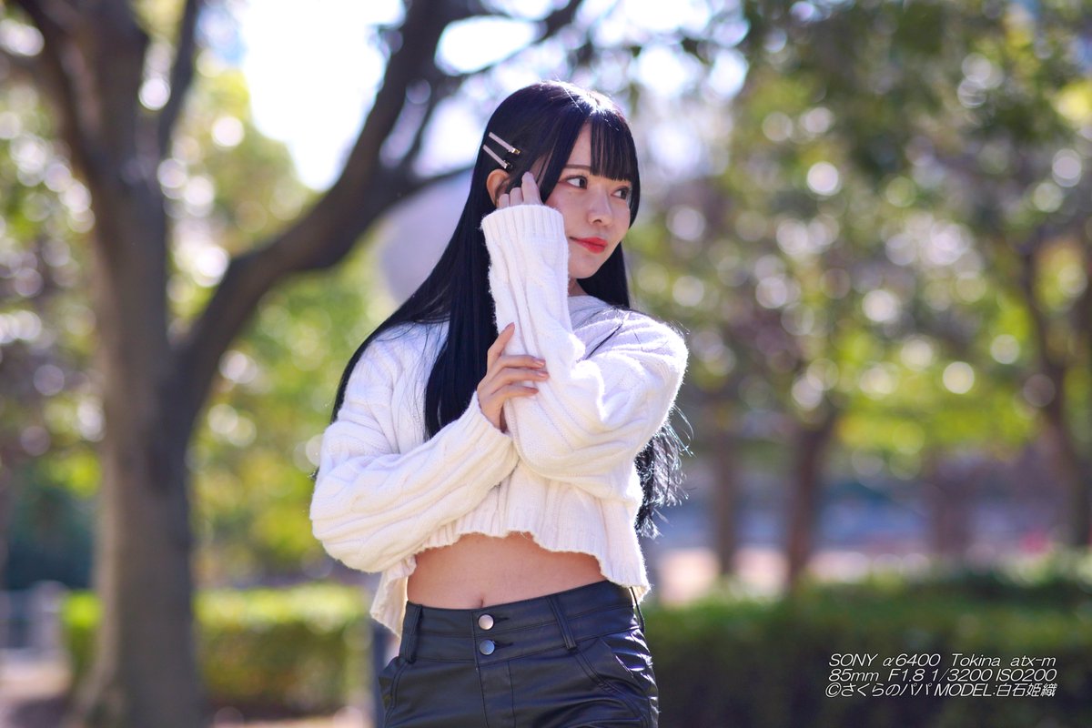 🇺🇦さくら🐇のパパ🇯🇵高配当株に移行中🇺🇦 (@K70_55) / Posts / X