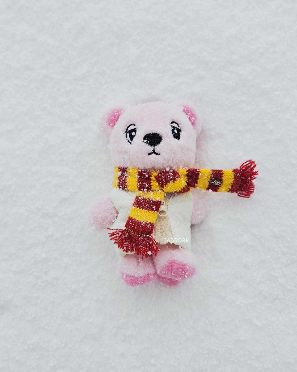 🫧 Dongwook clarified that Pink Wookdong is not a girl 😅 He is just Wookdong who dyed his hair pink. 

Dongwook said before he wanted to try dyeing his hair pink. I guess he couldn't do it in reality so Wookdong gets pink hair on his behalf 😆

(Photo is my own pink Wookdong)