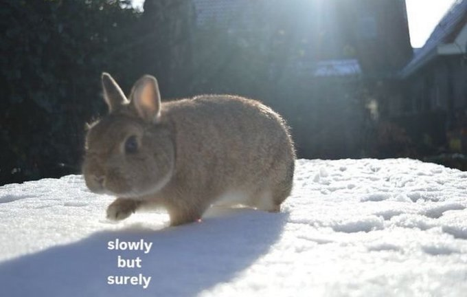 contemplating tweet media