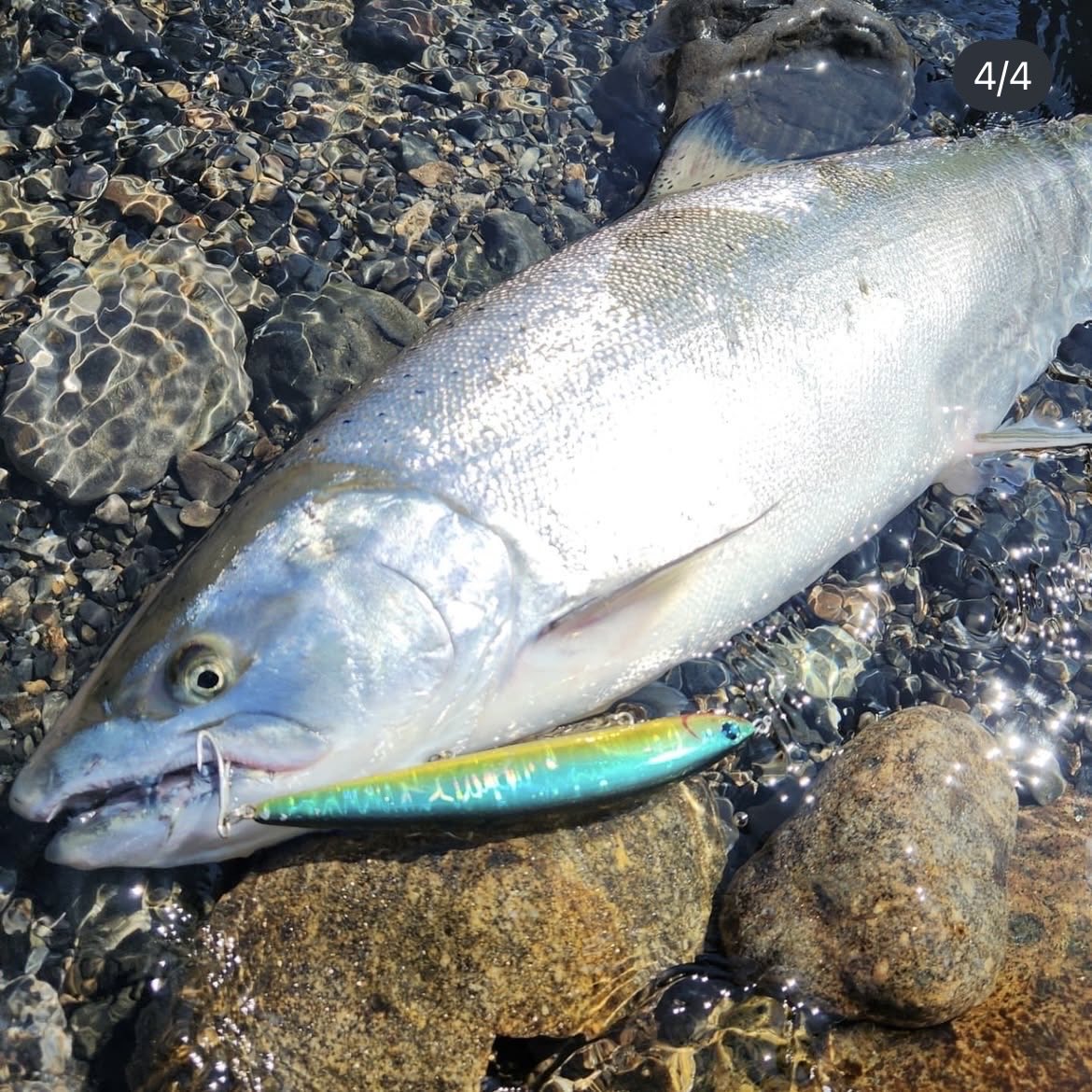 GONZO＠（hayaken) (@GONZOUDAIWA) / Posts / X