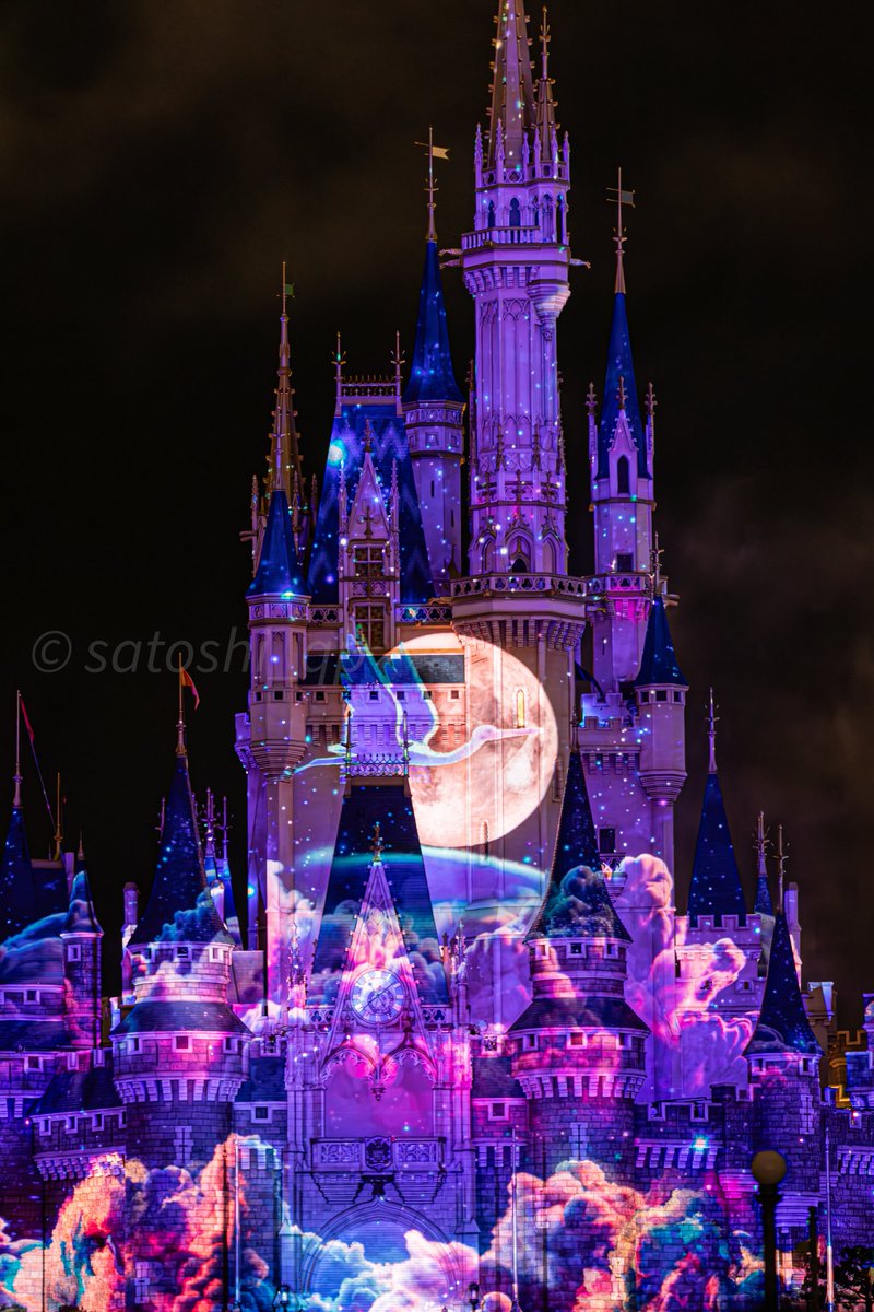 🌋🐿ディズニー大好きマニア🐭🏰 (@dis_0524) / Posts / X