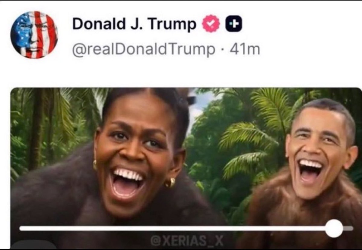 nolietees's tweet image. Trump has NO Respect for 49 Million Black Americans!

#StateOfUnion #OvalOffice @Blklivesmatter #BLM #BlackTwitter