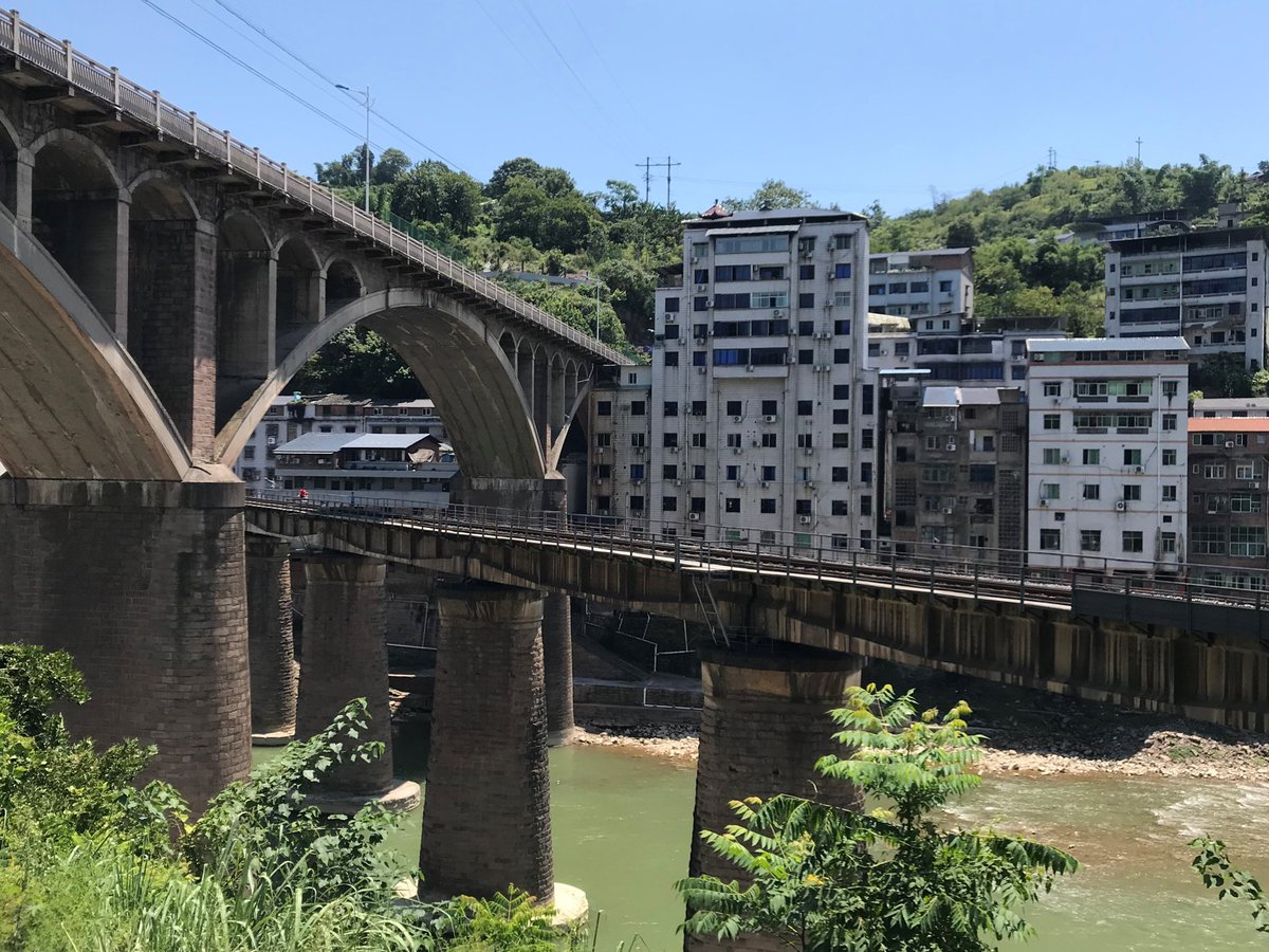 罗玉凤 tweet media