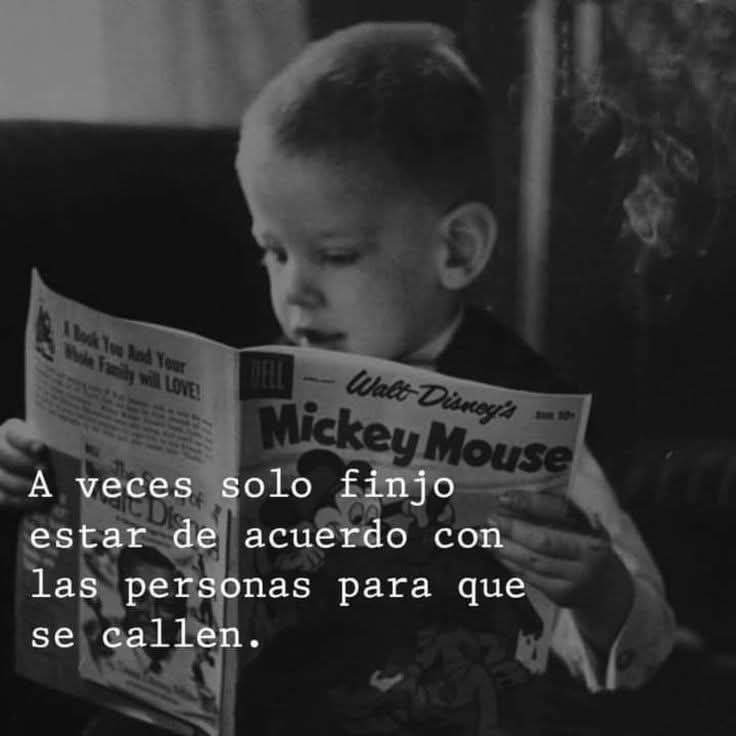 angelo_uf's tweet photo. https://t.co/9HLuV9TTDb