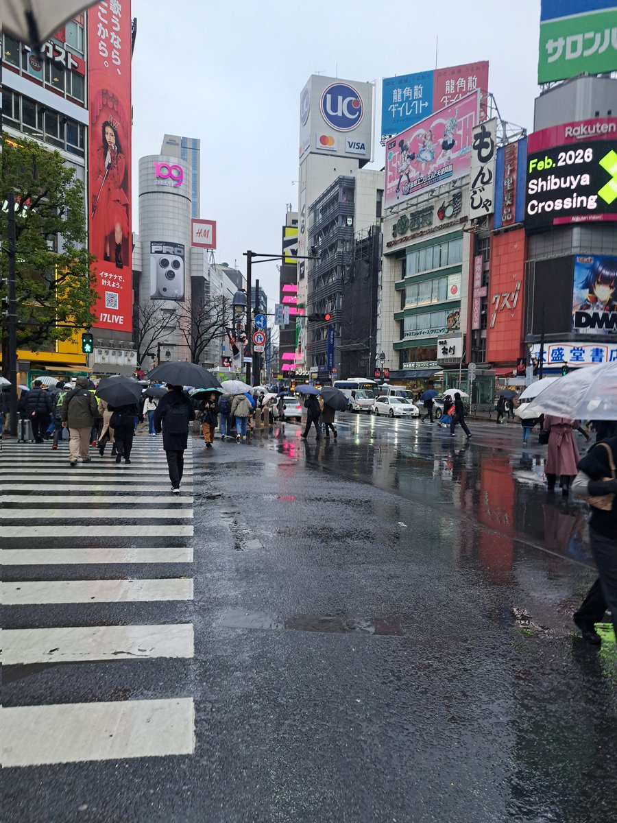 くさかりお🦖 tweet media