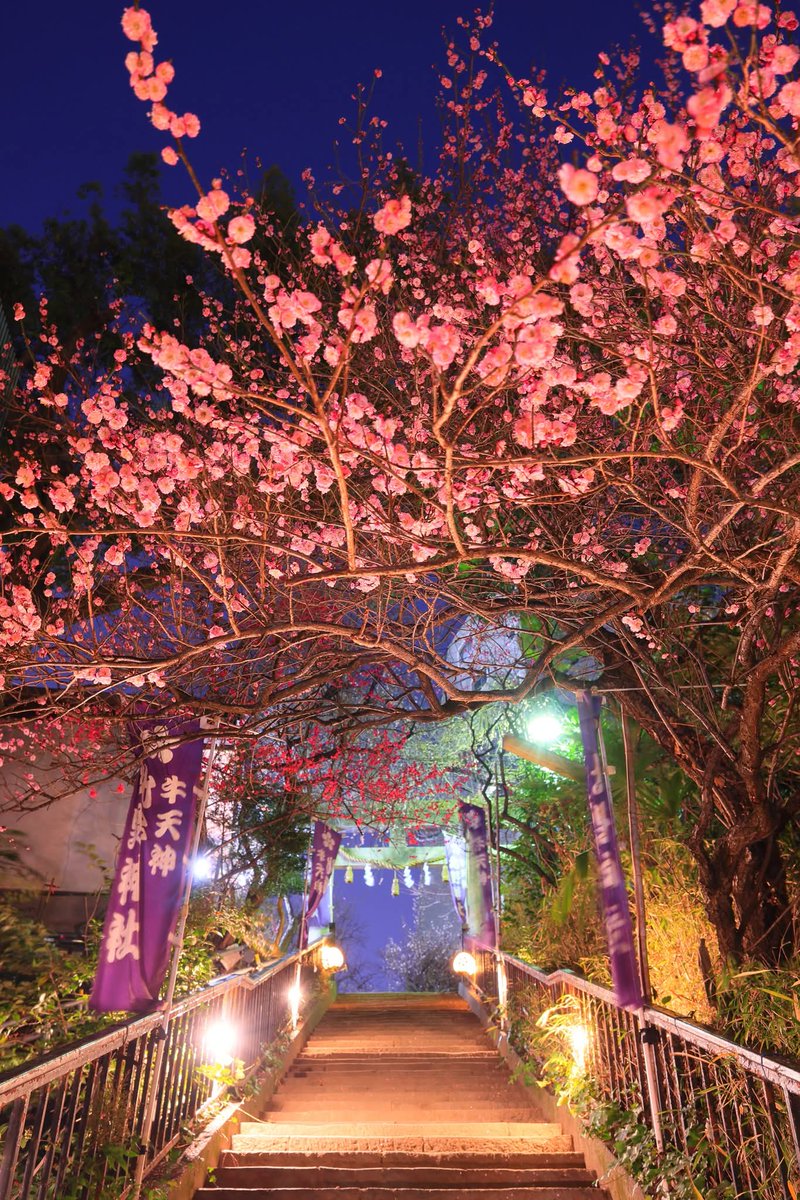 マルマル (@TGIMJcGPFppZZxP) / Posts / X