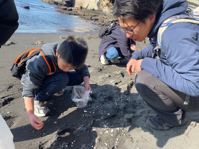 kimikamesizen's tweet photo. ファミリー野遊び教室 ～ビーチコーミングと海岸散歩～
暖かい気候の中、ビーチコーミングに行ってきました。貝殻や漂着物を観察し皆さんのお気に入りを拾いました。海洋ゴミ問題のお話もしました。きれいな物以外に人の営みで海が汚されていることを実感…
美しい海をいつまでも残していたいですね。 https://t.co/jH6tesXVLY