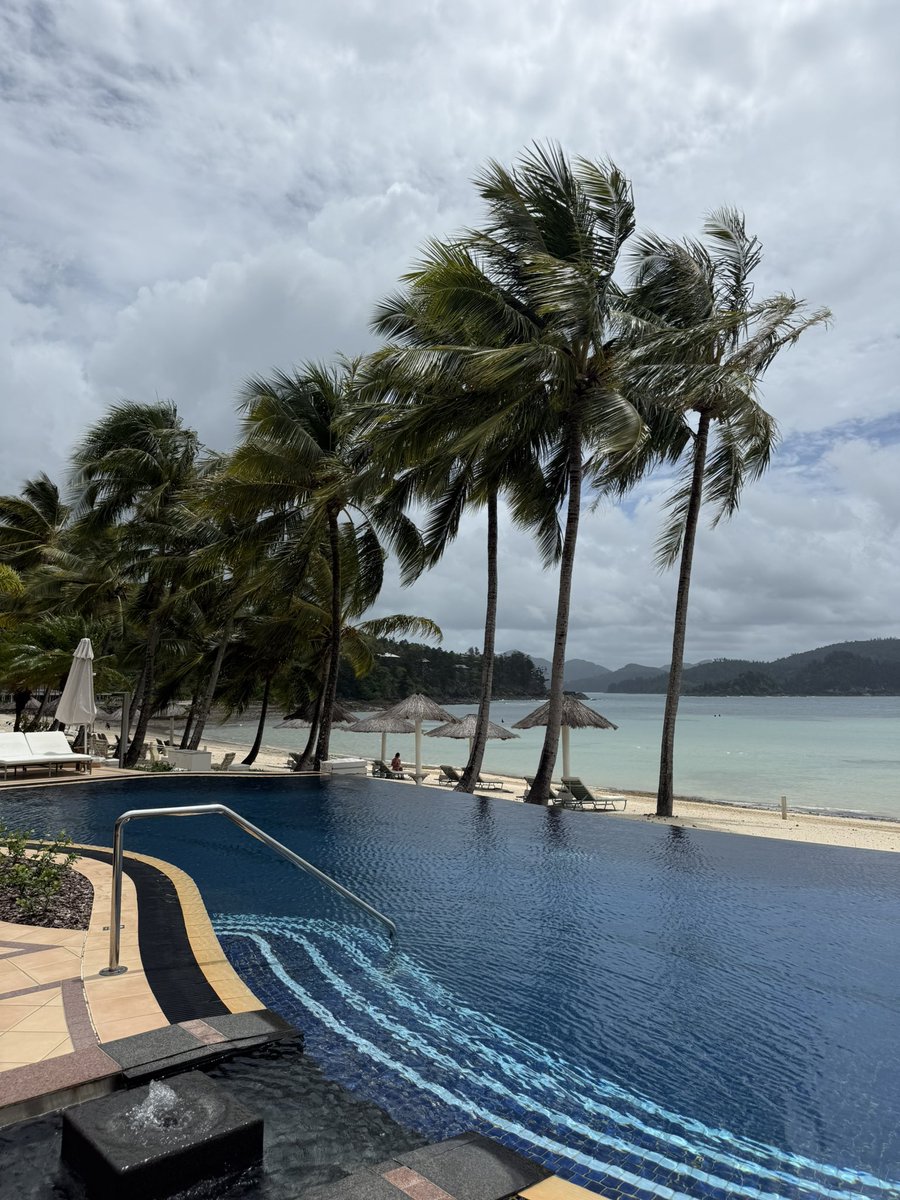 Laura Buchtel tweet media