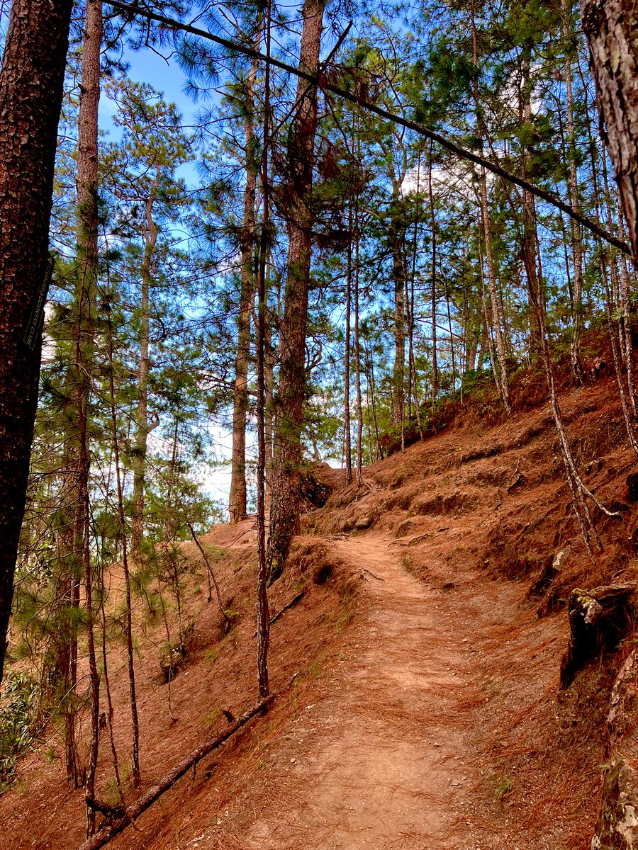 jack ôlero tweet media