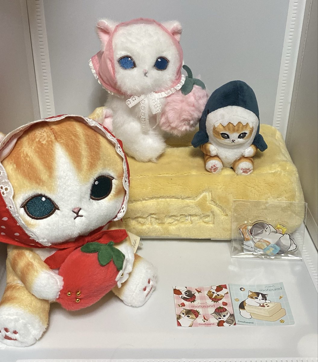 てつや (@kapo_neko) / Posts / X