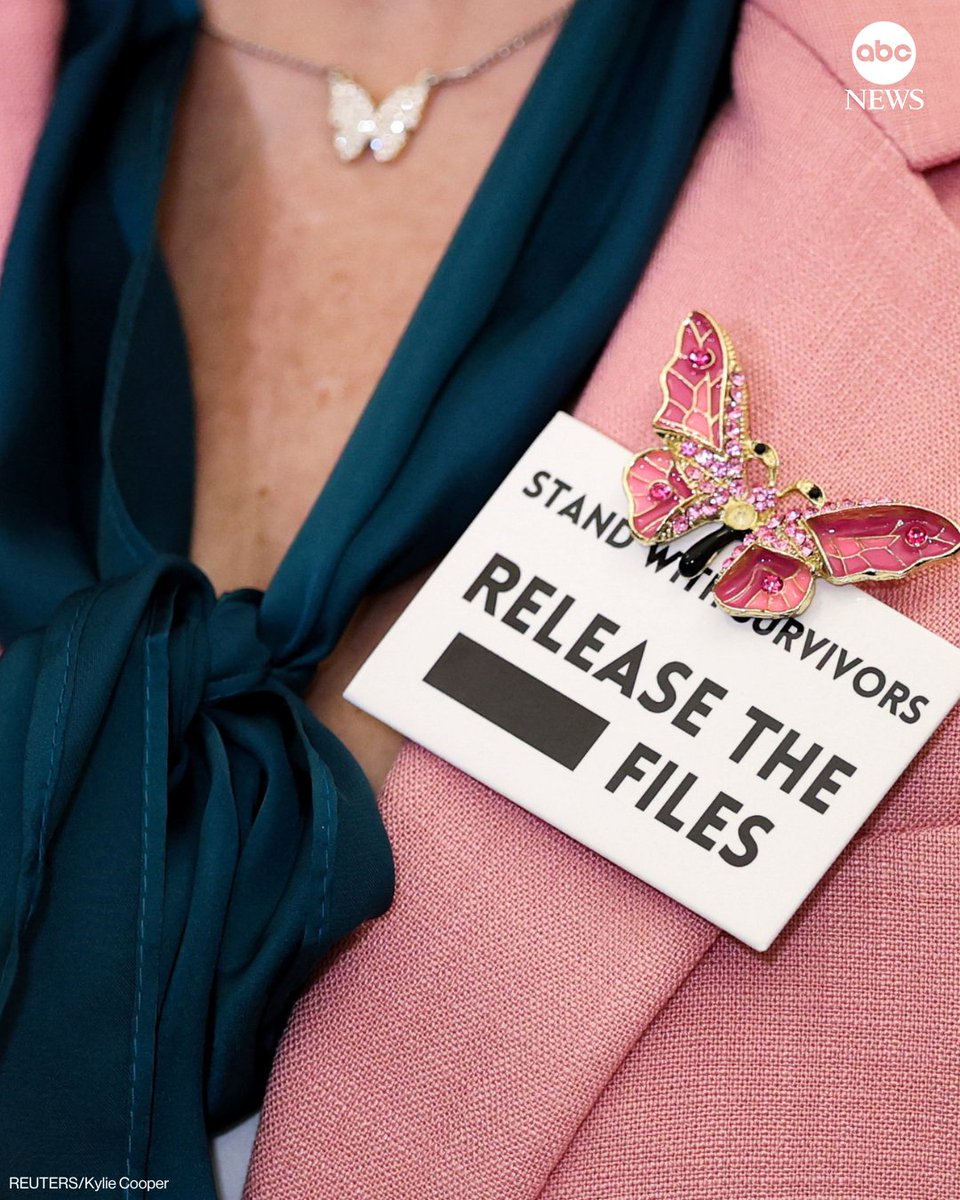 House Democrats have invited several Jeffrey Epstein survivors, including Haley Robson, Annie Farmer and Marina Lacerda, to President Trump's State of the Union address. Some of the survivors wore pins saying, "Stand with survivors. Release the files."
abcnews.link/i1g0QrJ