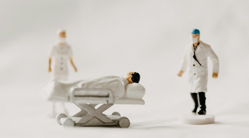 Different Brains tweet media