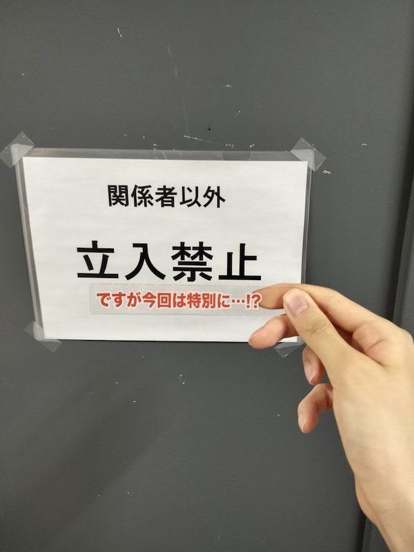 ですが…🤣🤣🤣