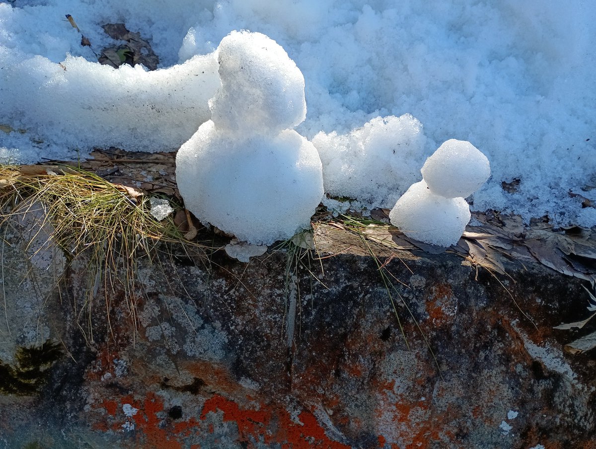 鈴風つかさ tweet media