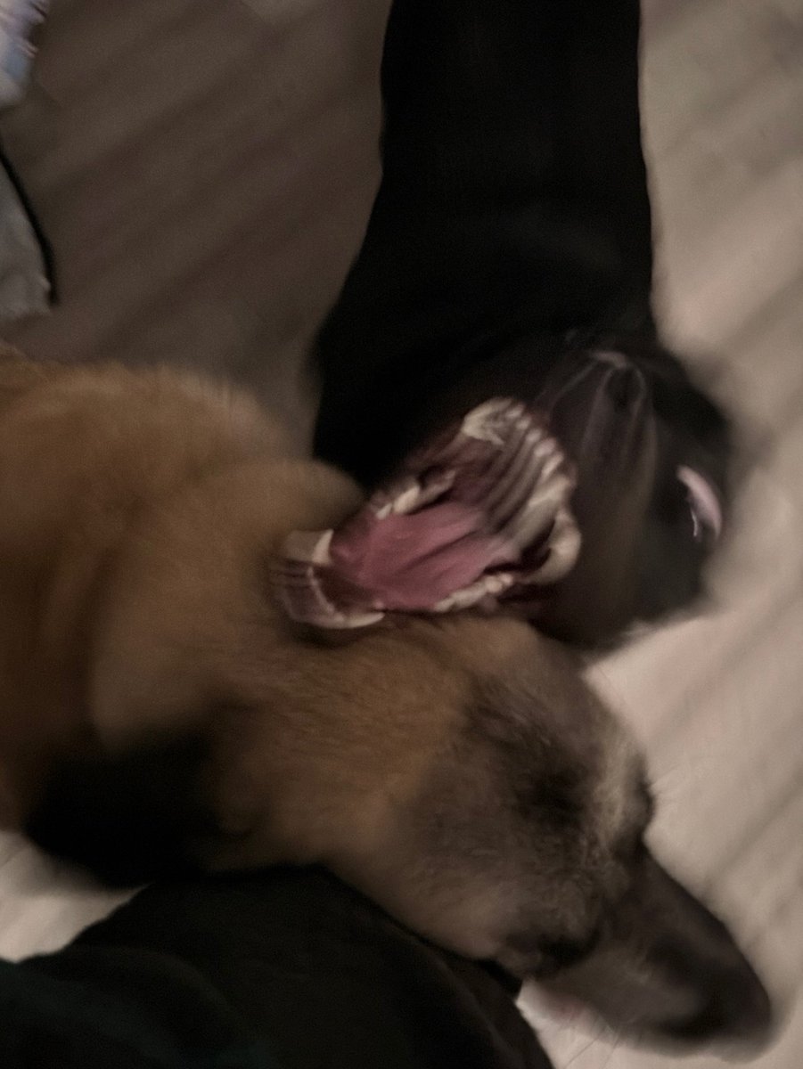 Oatmeal 🥣 tweet media