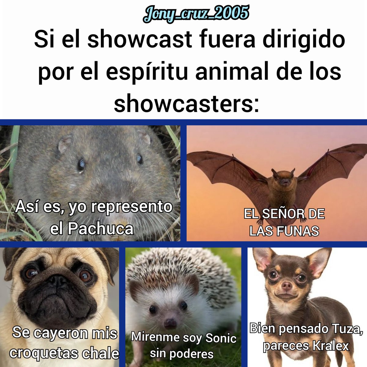 Jony_Cruz_2005's tweet photo. @Spideremilio #SCMeme buenas noches a Bestia Luthor, Antifunas, Funko y al señor... digo al Spider Jefazo, aquí dejo mis memes espero les gusten, peticiones fuera los dejo nos vemos. https://t.co/nLwYE5selr