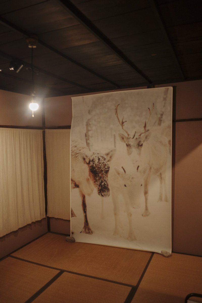 トナカイ (@tonakai) / Posts / X