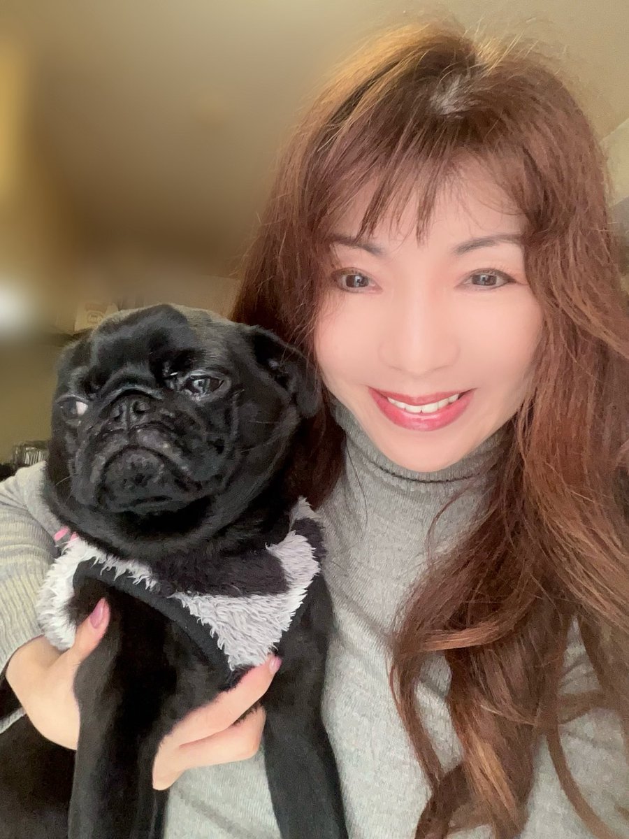 パグとの暮らし