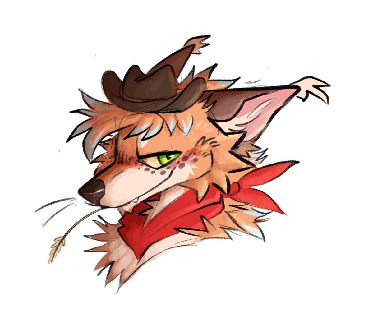 Luna the fox!! tweet media