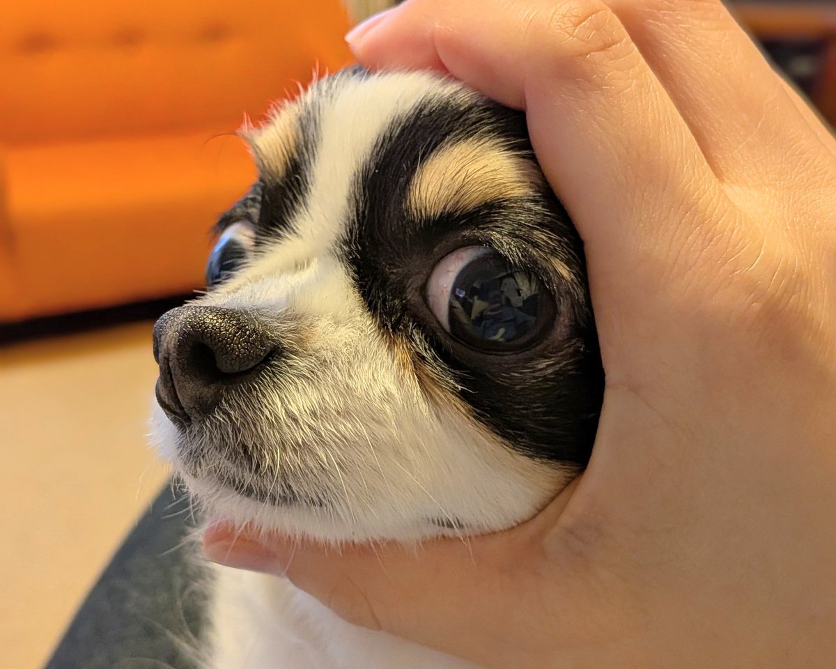 完成したものがこちら