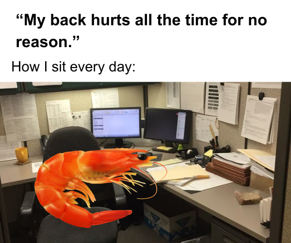 bossjobofficial's tweet photo. I wonder why...🤔

#memes #workrelated #BossjobPH https://t.co/g5lre9oms2