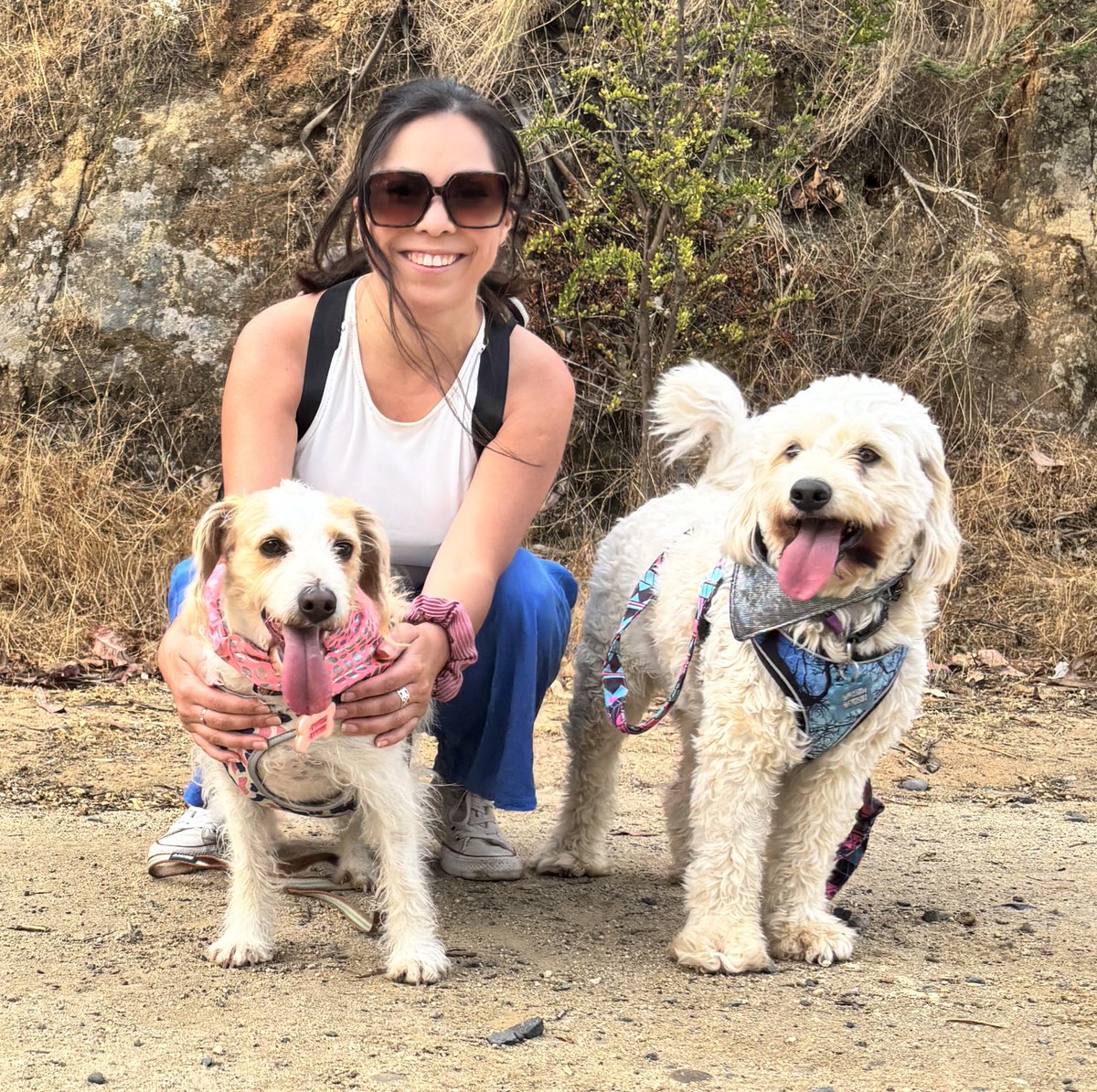 Ro0mY's tweet photo. Espacio sideral, siempre será la canción de mis perritos ❤️  mis poderes no son nada sin ustedes Mila y Facu #Viña2026 https://t.co/orBoSJYwBf