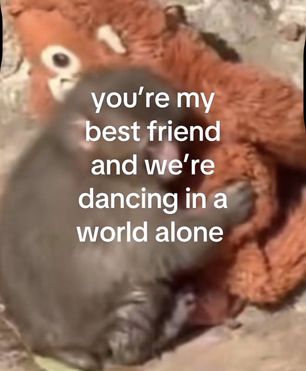 Lorde Brasil 🧬⛓️ (@lordebrasil) on Twitter photo 