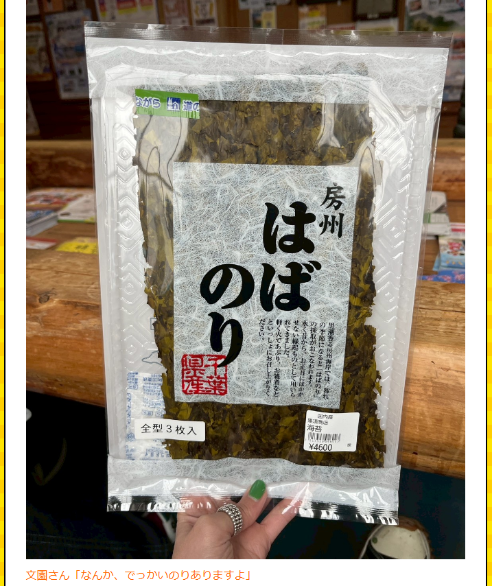 千葉の道の駅で買った地元の海苔「はばのり」。なんと3枚4,600円