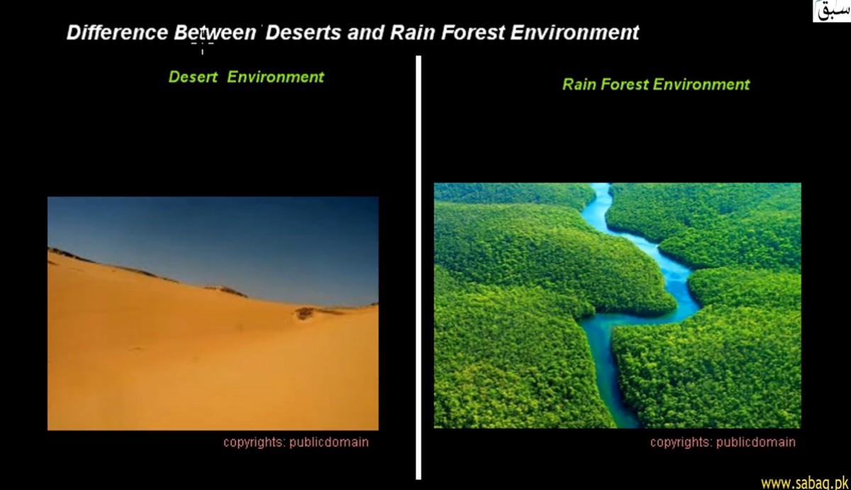 Peter Clack tweet media