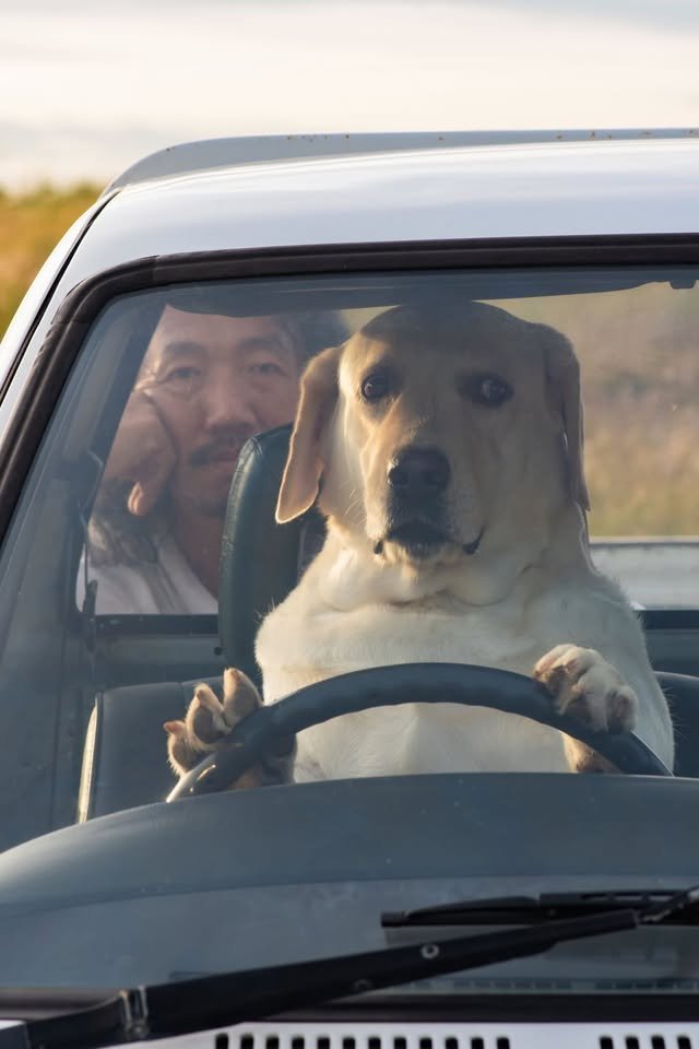 girls : " i don't trust anyone easily "

crypto guy with their memecoin :