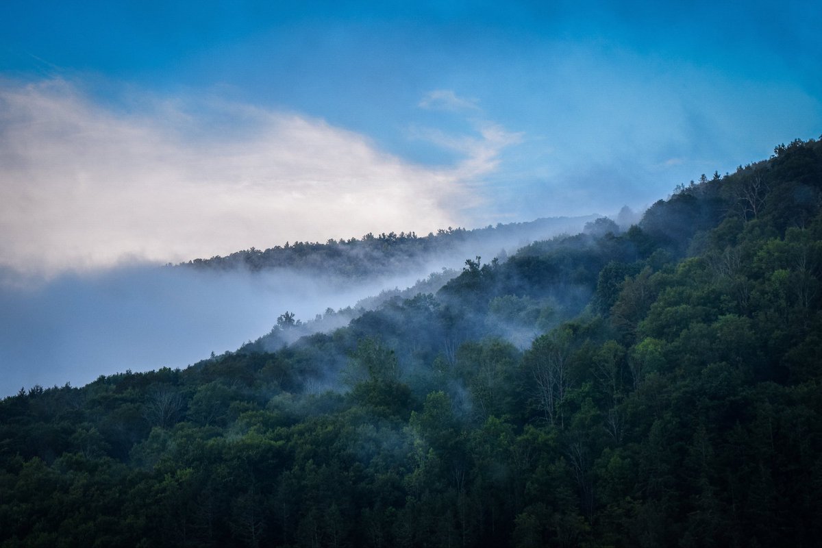 Kelly✨ tweet media