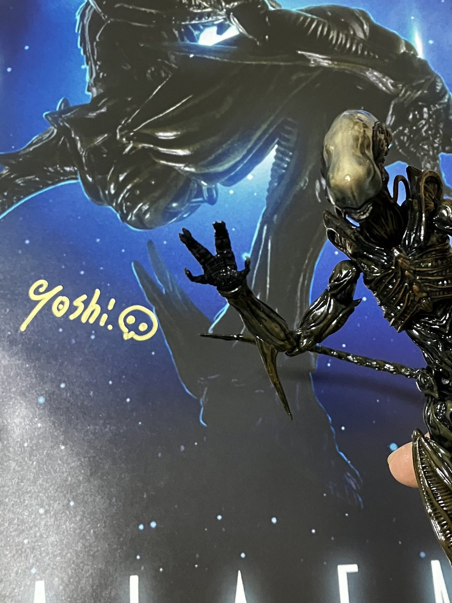 Yoshi. (@Yoshi6054) / Posts / X