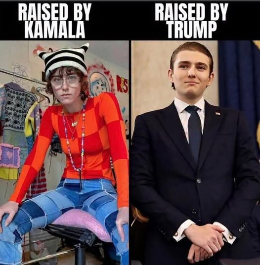 RickyDoggin's tweet photo. Any Questions? https://t.co/qLZFJjrEia