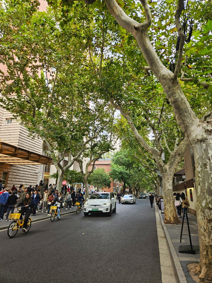 ถามว่า​ เขามีสายไฟเหมือน​บ้าน​เราไหม คำตอบคือ​ มี​ครับ​ บางพื้นที่​มีให้เห็น​ แต่สิ่งที่ต่าง​ออกไปคือ​การตัดแต่งแบบรุกขกร​ บ้านเขา​ใช้ผู้เชี่ยวชาญในการตัดแต่งให้เป็นรูปทรง ขณะที่บ้านเรา​ ไม่มีผู้​เชี่ยวชาญ​มาตัด​ มีแต่เจ้าหน้าที่ที่ได้รับคำสั่ง​ ตัดยังไงก็ได้ไม่ให้โดนสายไฟ
