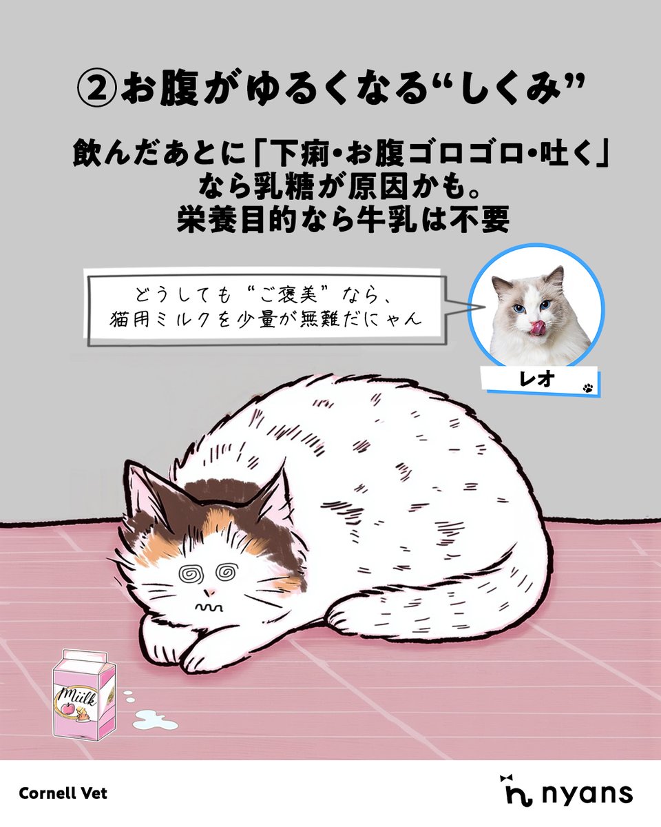 猫のためのnyans【公式】 tweet media