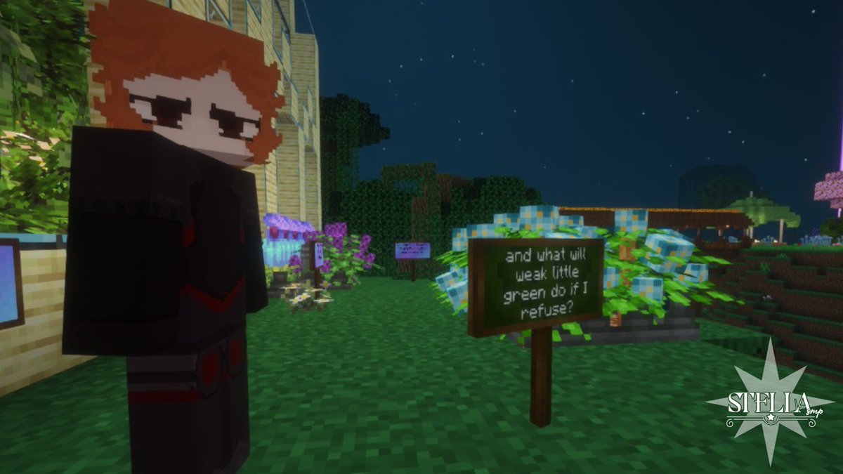 StellaSmp tweet media