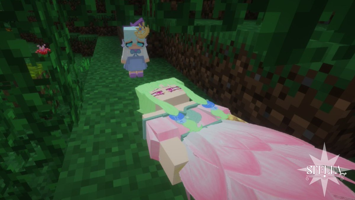 StellaSmp tweet media